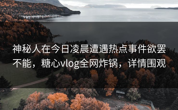 神秘人在今日凌晨遭遇热点事件欲罢不能，糖心vlog全网炸锅，详情围观